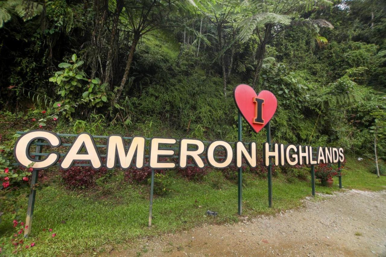 Cameron Kea Farm Hotel Бринчанг Экстерьер фото